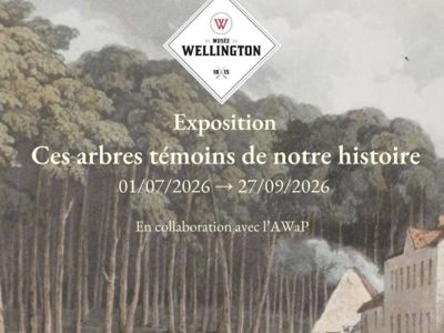 Exposition - Ces arbres témoins de notre histoire