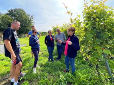 Domaine du Chapitre