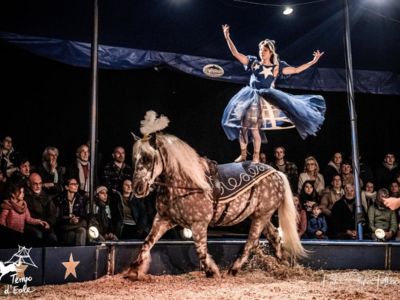 Spectacle - D’Or et de Sang par le cirque équestre Tempo d’Eole