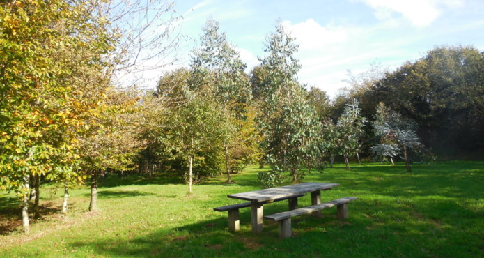table pic nic arboretum Beffou