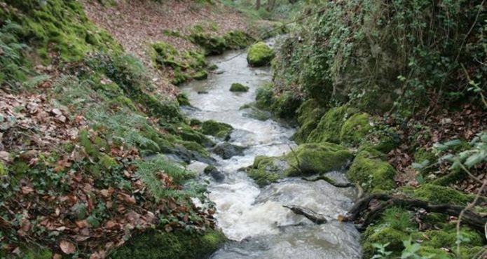Ruisseau du Ruet
