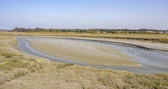 Réserve naturelle de la baie de Saint-Brieuc, Fanch Galivel