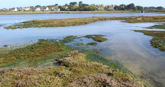 Présalé Ile Grande 06, Gilles Bentz