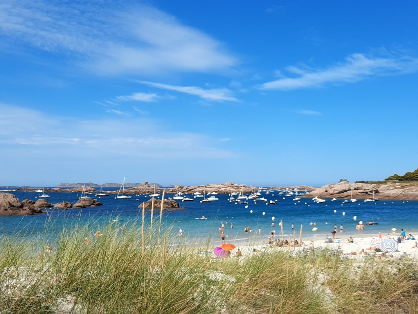 Plage de la Grève-Blanche - Trégastel