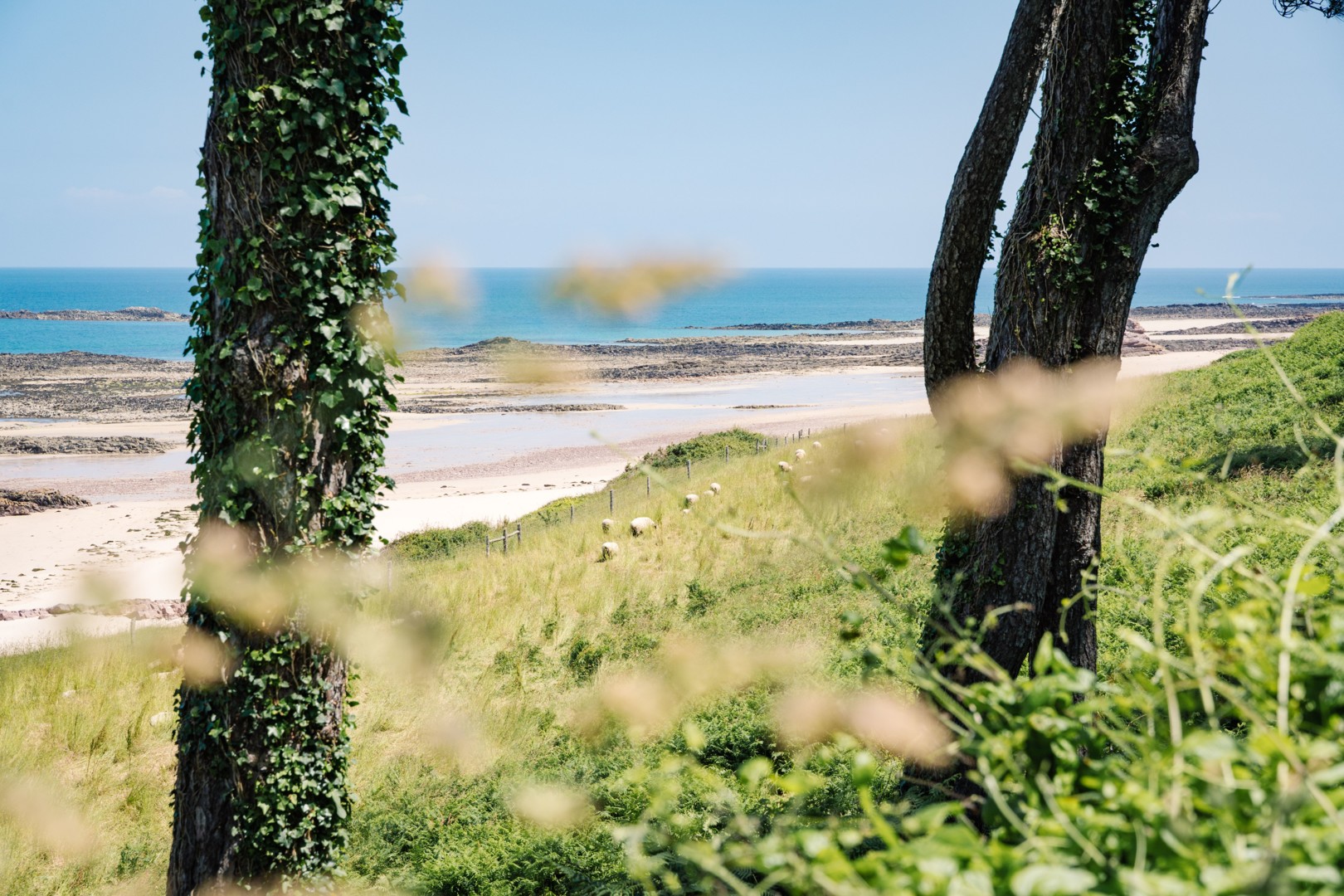 Chemin sous bois proche de la plage du Guen