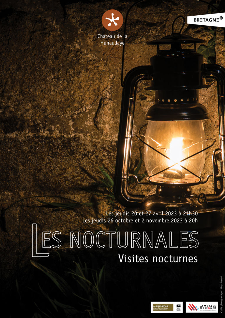 Affiche Nocturnales