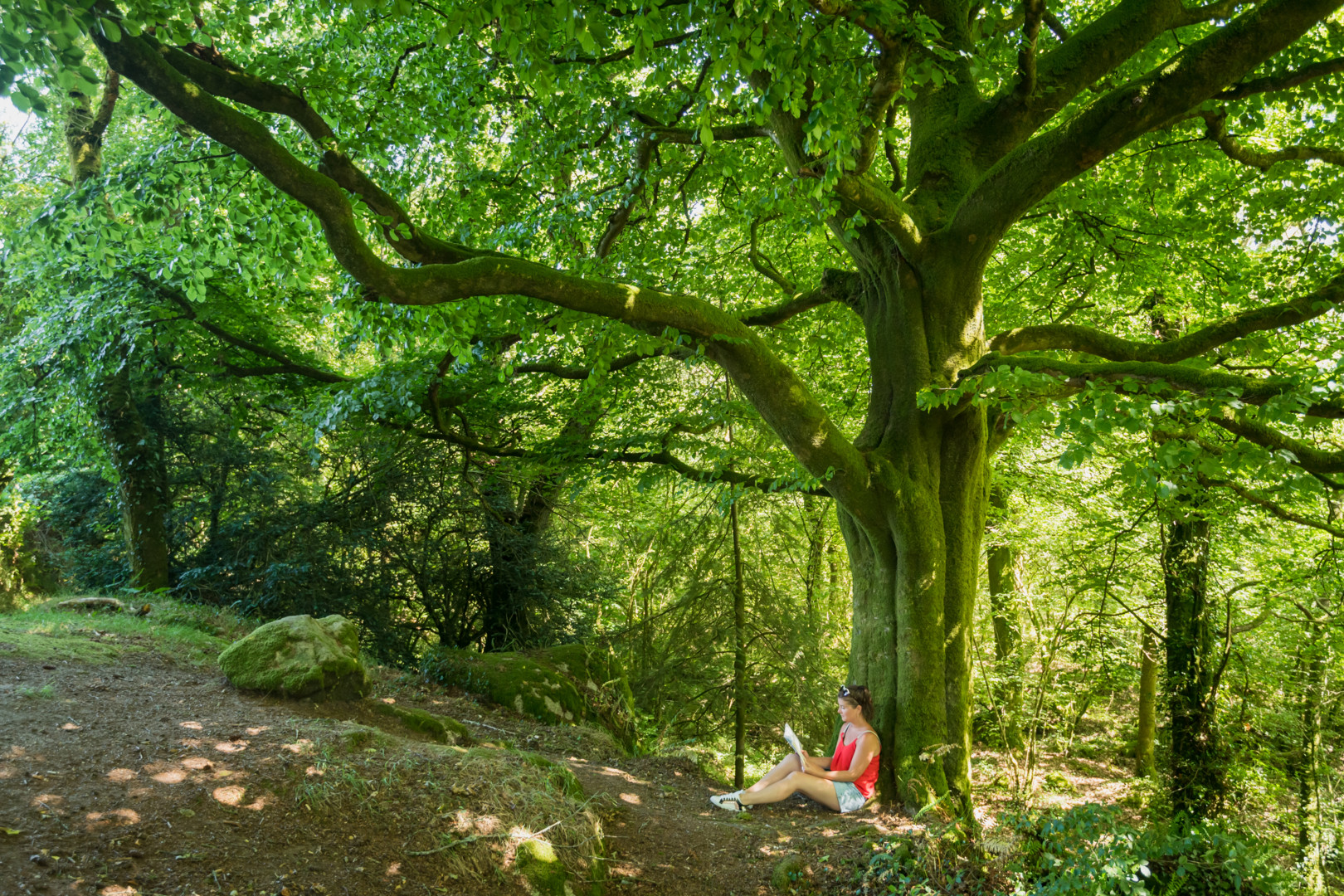 Corong-919-©Emmanuel Berthier