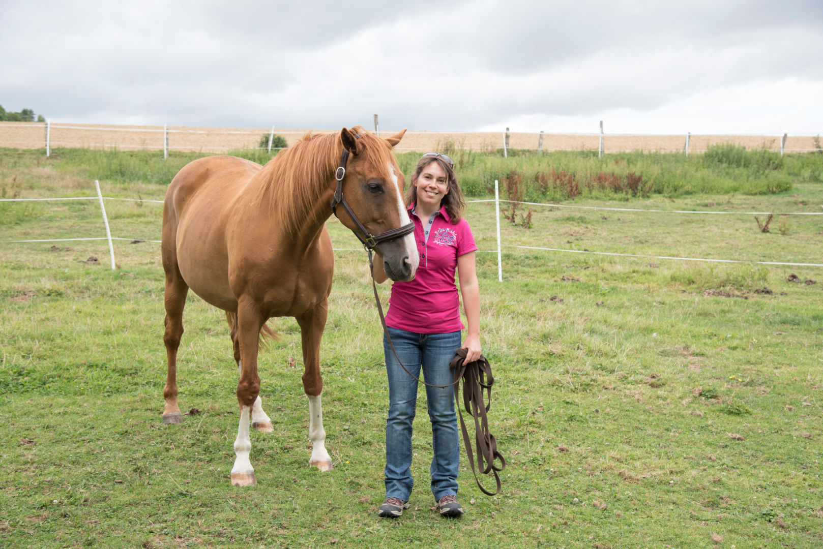 horse coaching