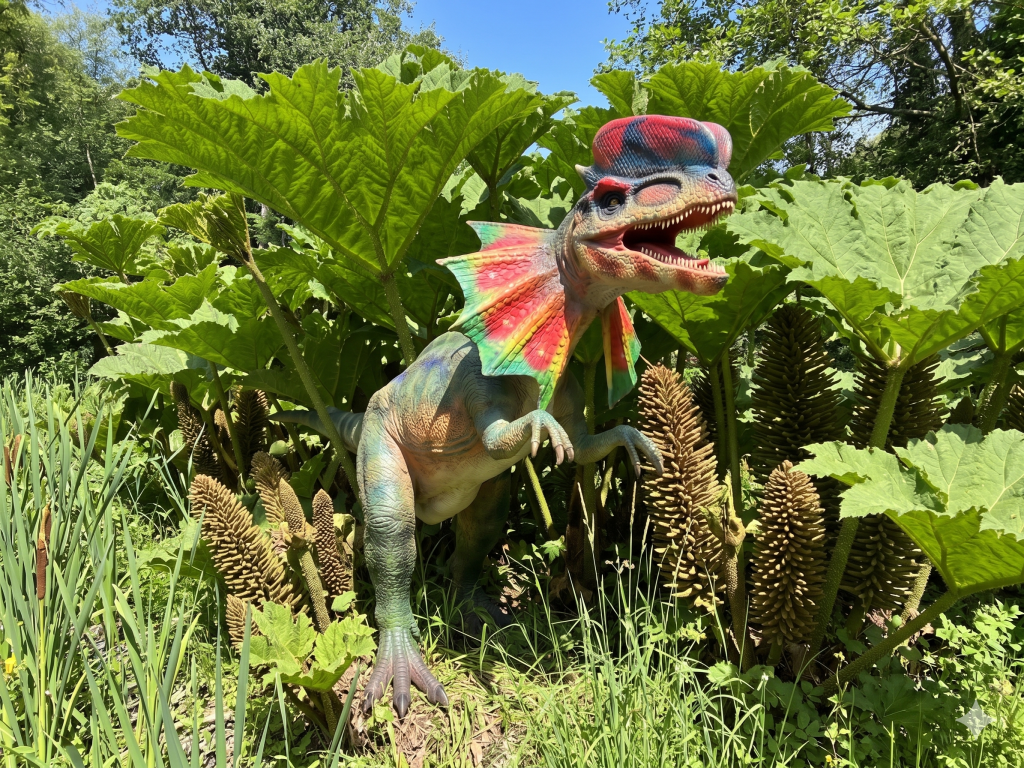 Dilophosaure-ett-gunera-domaine_ty-rex