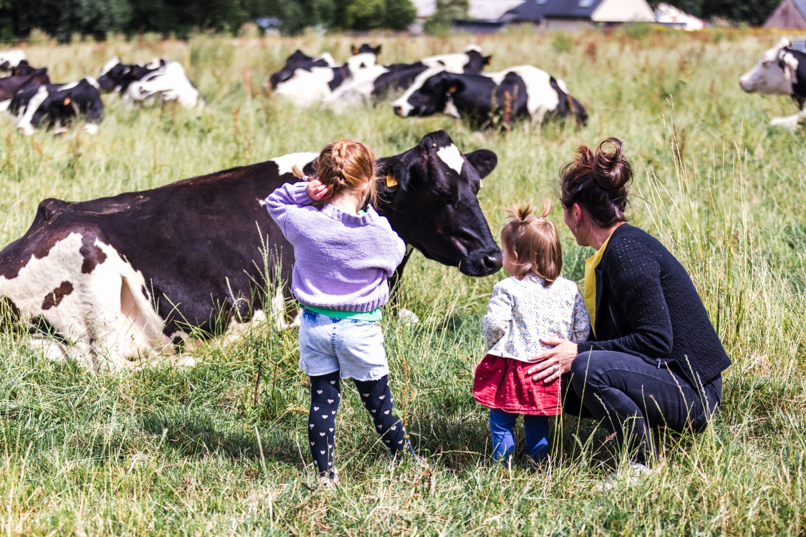 Ty Lipous - Mousteru