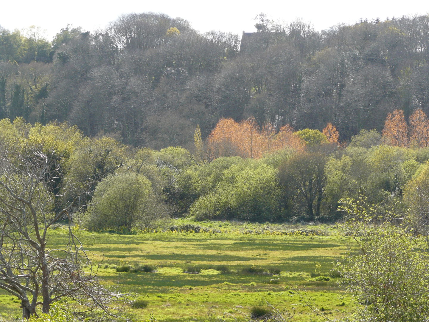 Marais de Trestel