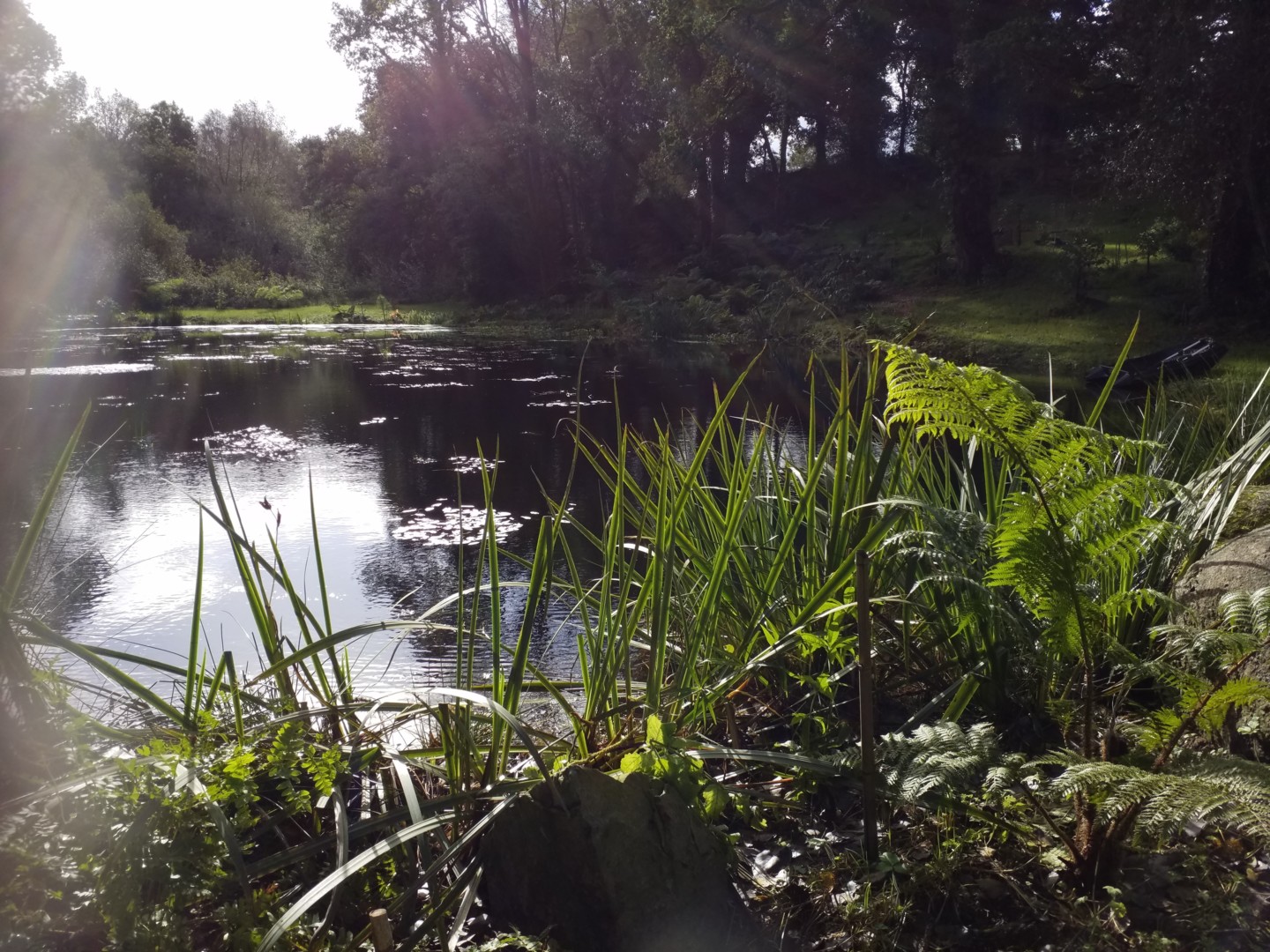 La Vallée des Bambous à Plougonver
