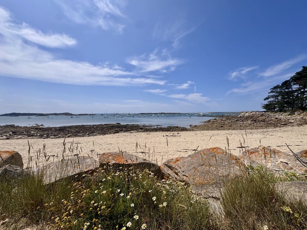 Plage des Dames - Port Saint-Sauveur - Ile-Grande - Pleumeur-Bodou