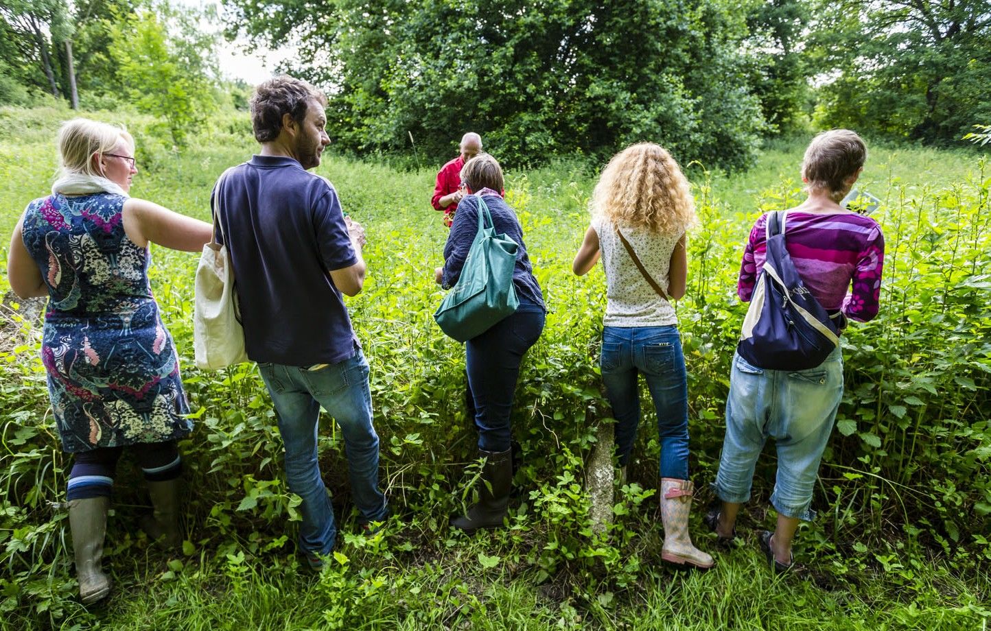 Suivez le Druide - Plantes sauvages - Ecologie joyeuse et positive - Escapade Glaz (3)