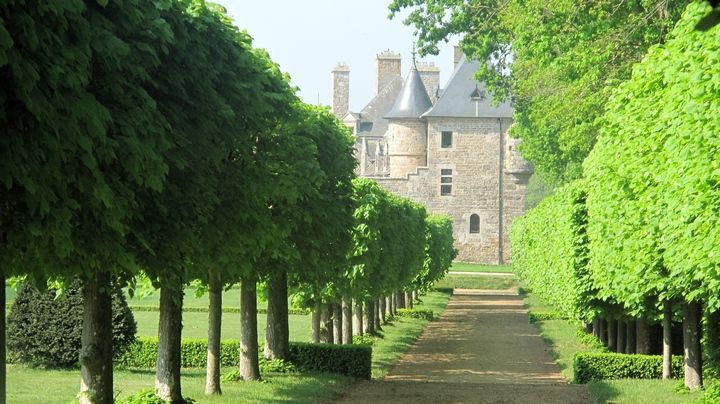 château Rosanbo Le Parc - Allée de Tilleuls