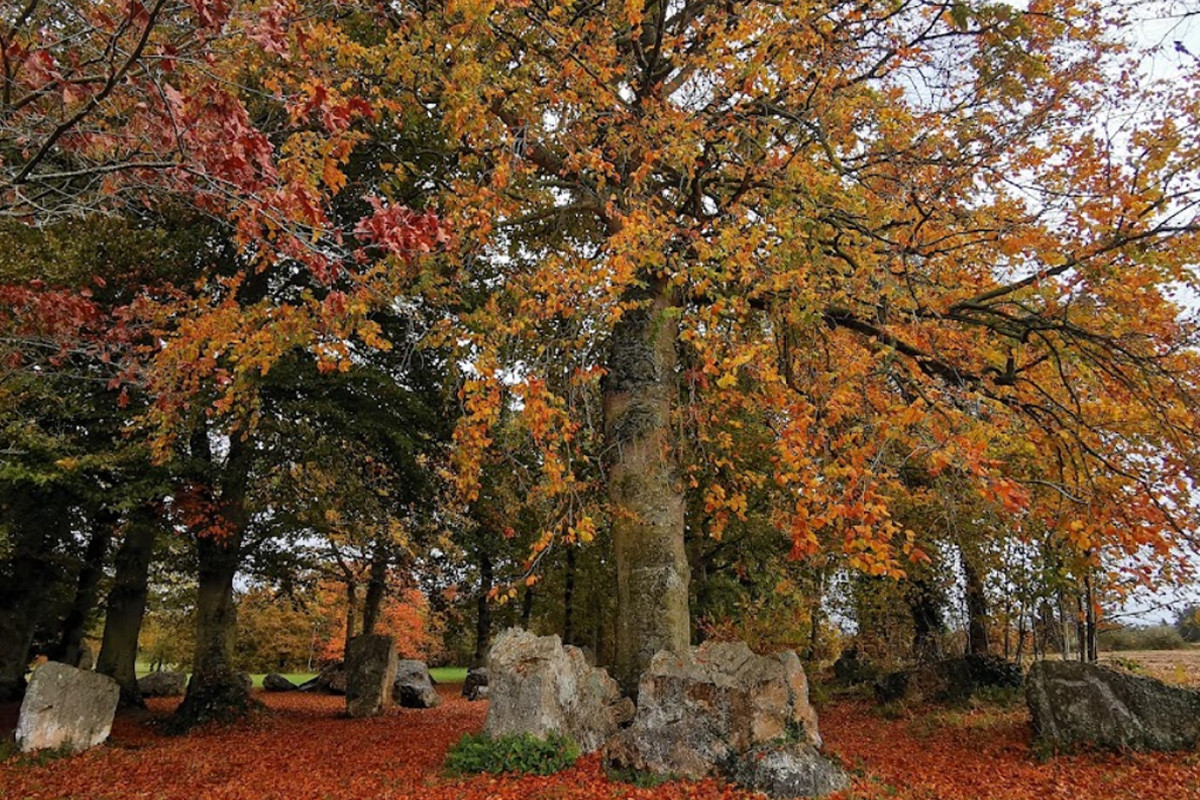 Mégalithes du Champ des Roches, Pleslin-Trivagou, Côtes d'Armor