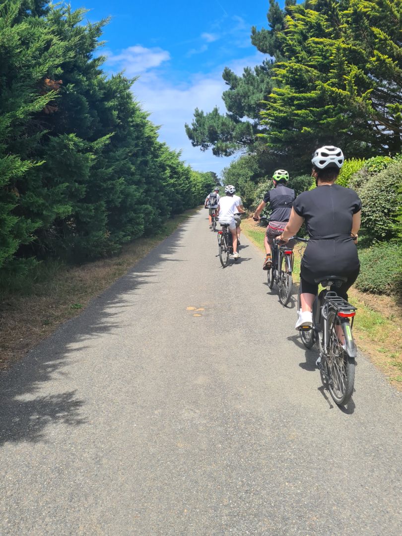 vélos de la baie (1)