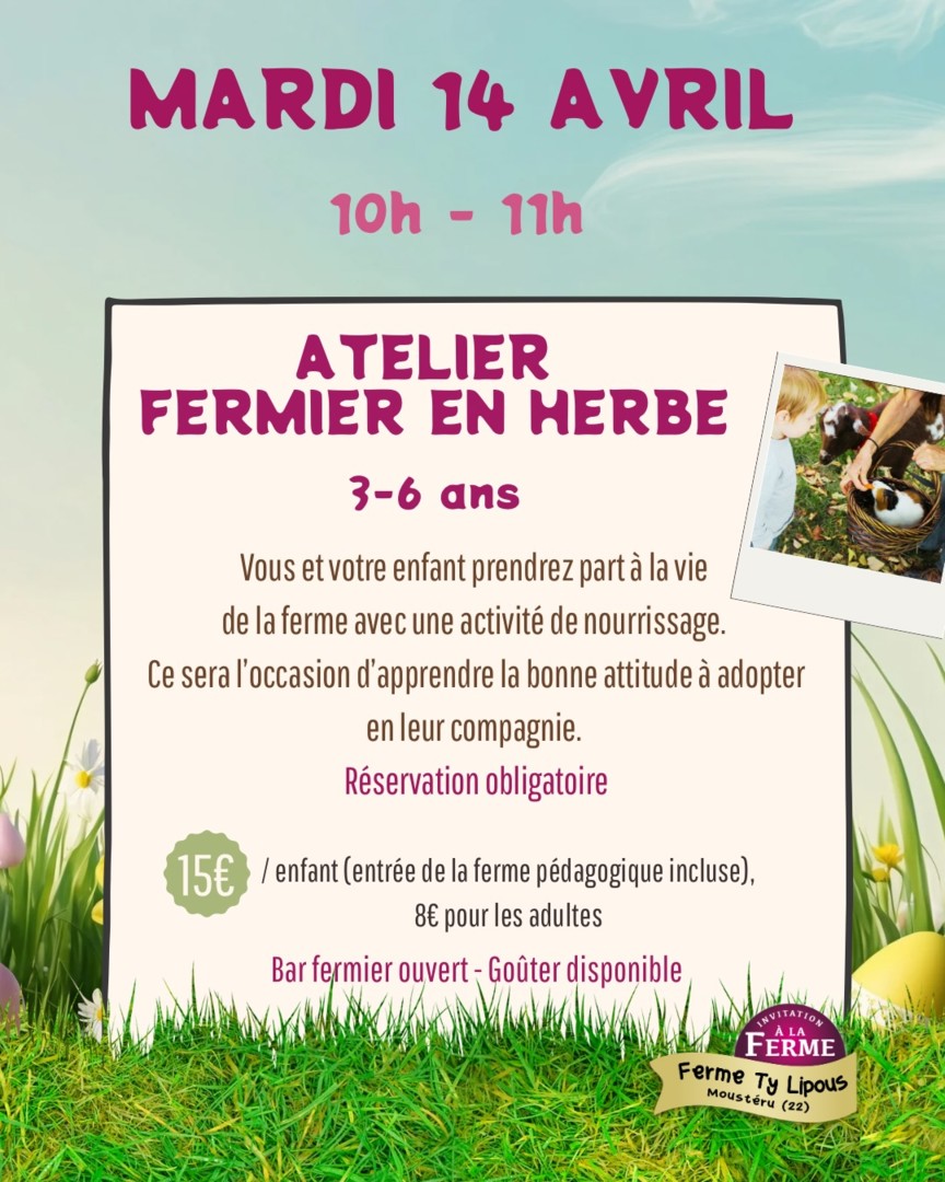 Atelier fermier en herbe à Ty Lipous