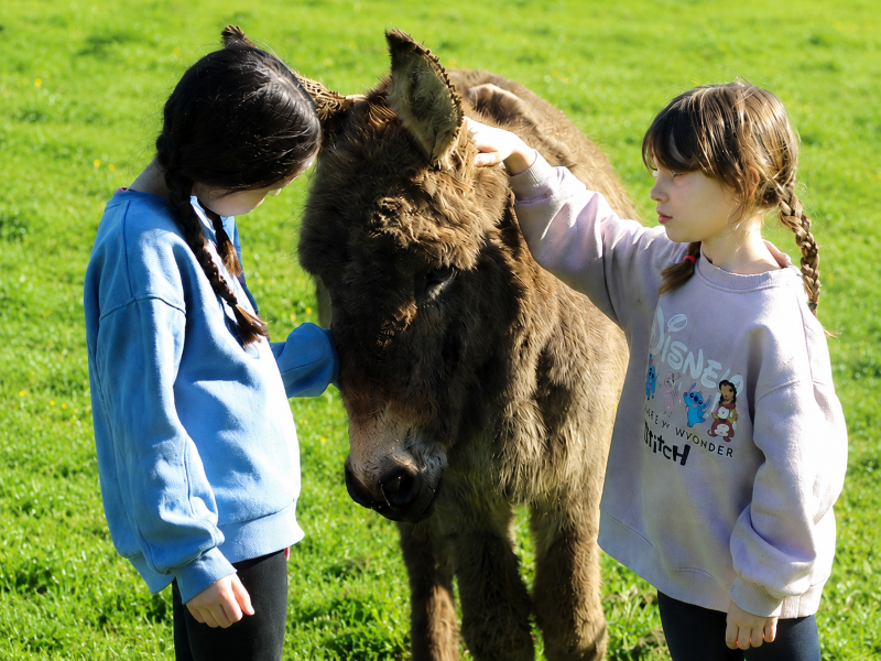 Atelier petits fermiers