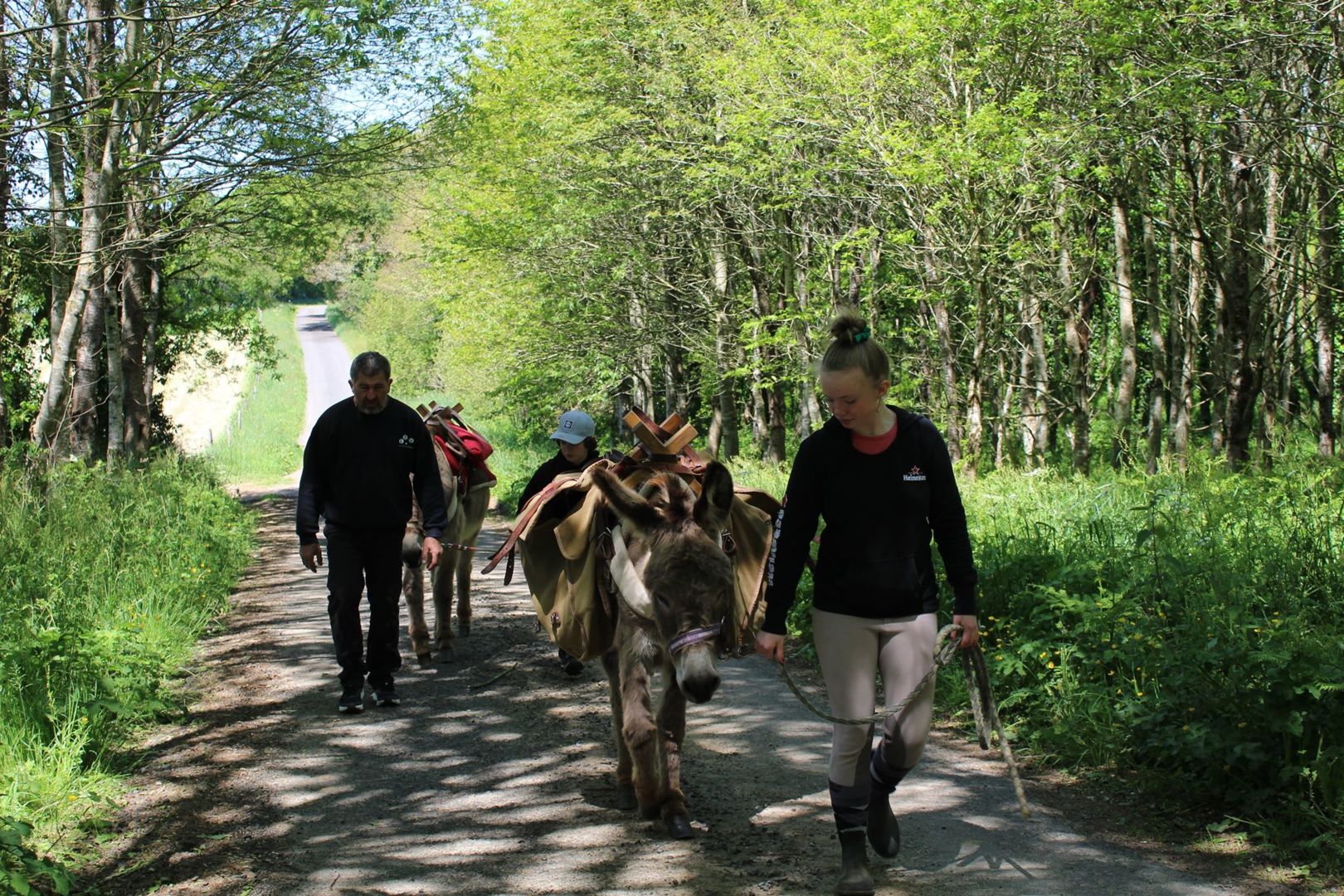 La combe aux ânes - Balades avec les ânes à Lanvellec
