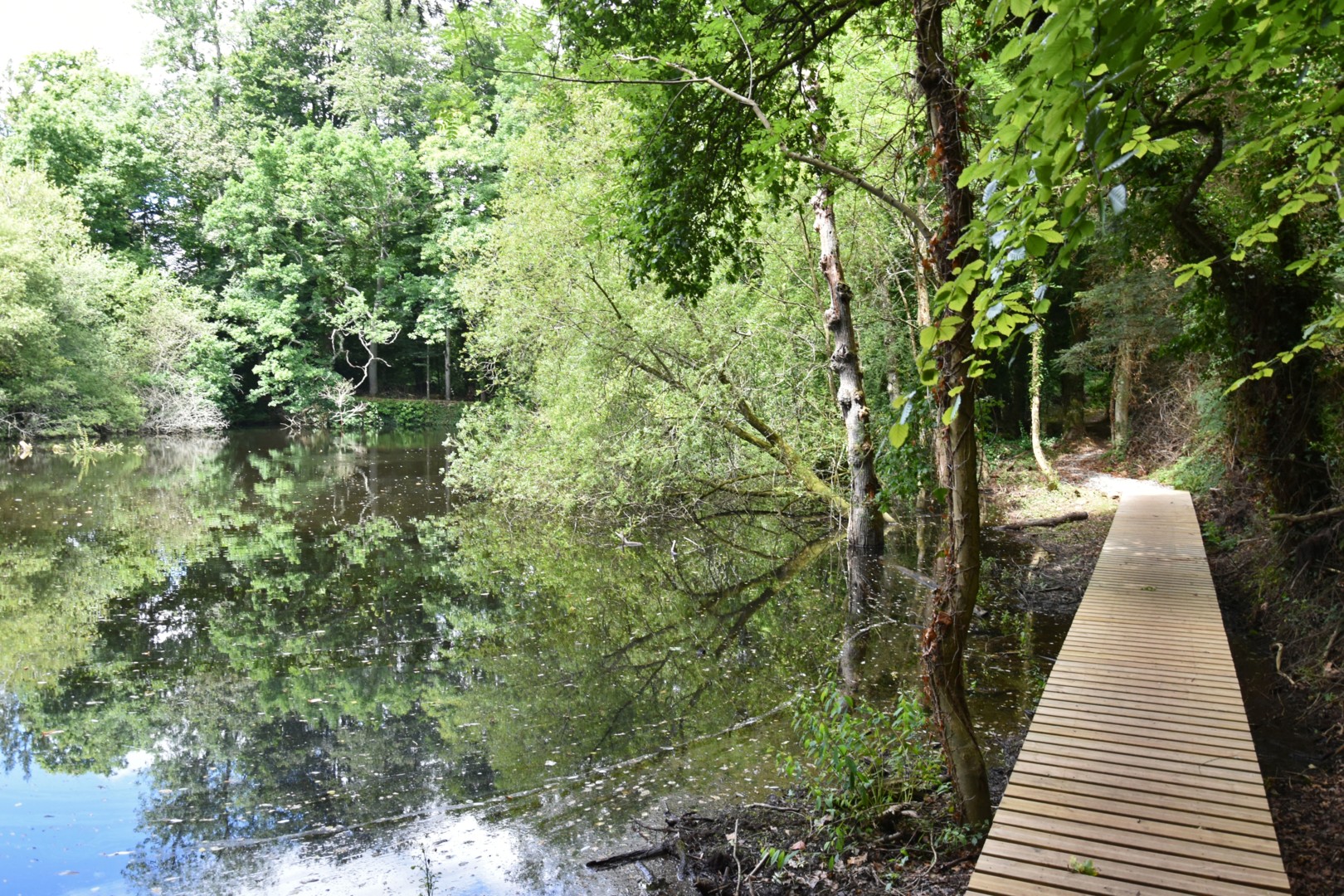Chemin Munehorre - ville de pabu