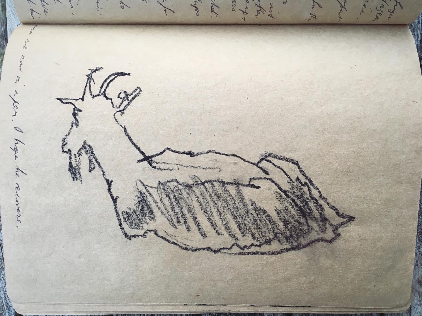 Croquis d'Olivia