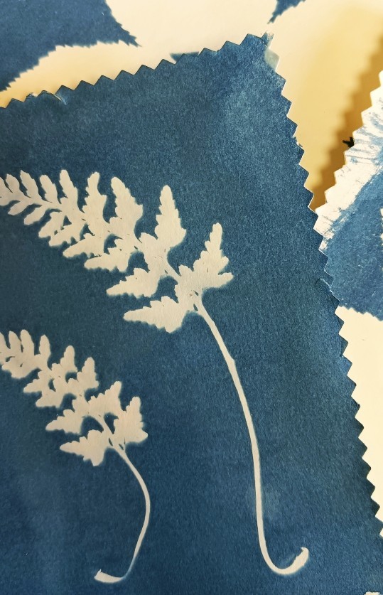 Cyanotype