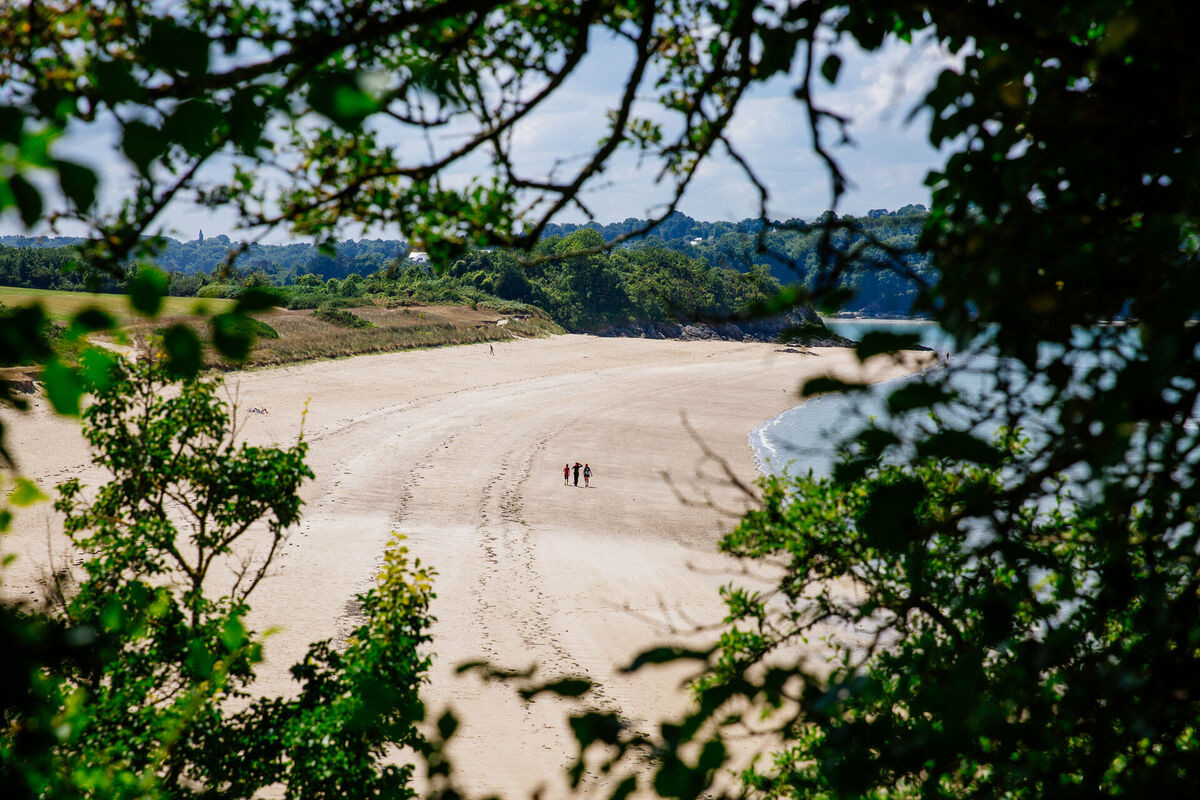 DCFT000987 - Les Conteurs