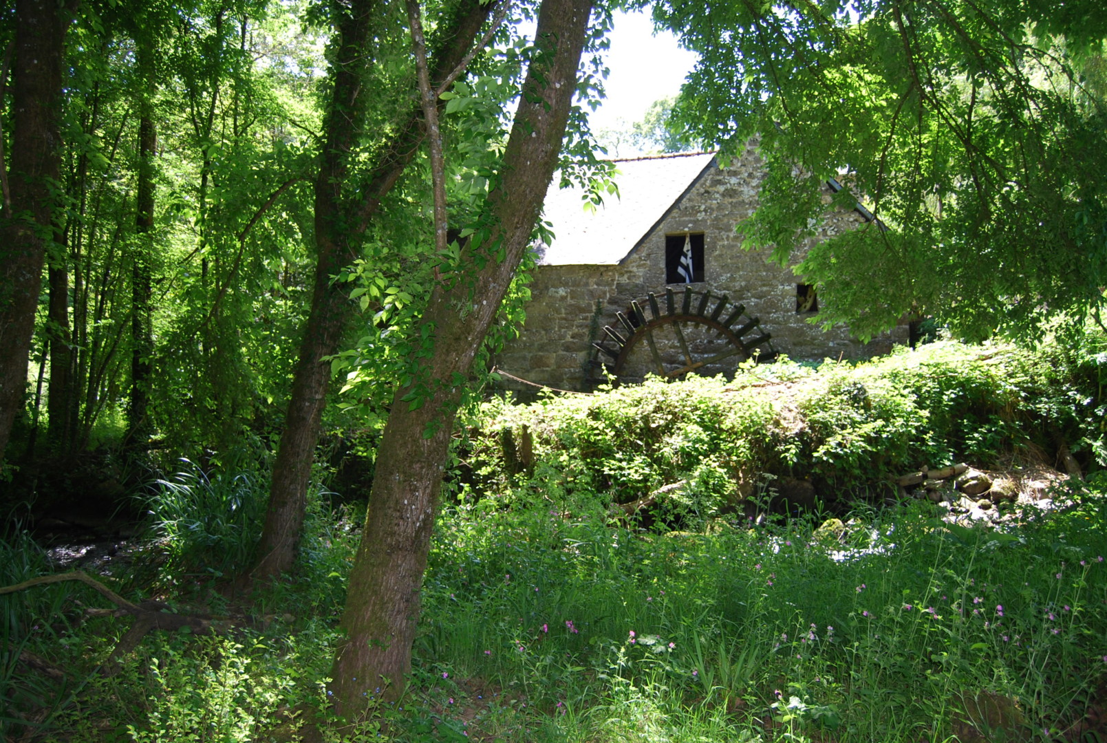 Moulin de la Perche