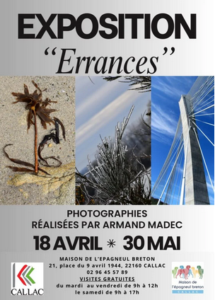 Exposition à la maison de l'épagneul breton