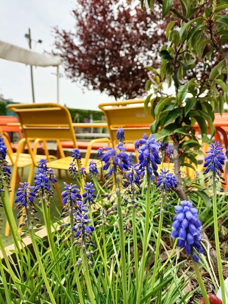 Restaurant Le Cessonnais