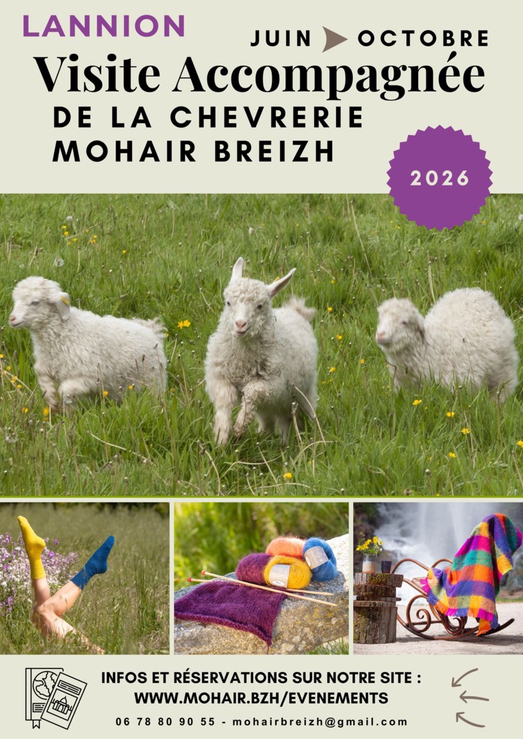 Flyer visites 2026