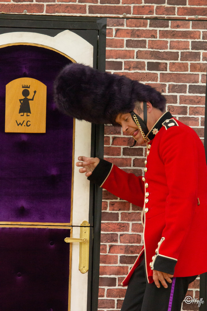 Guard Save the Queen - @Meffe-24