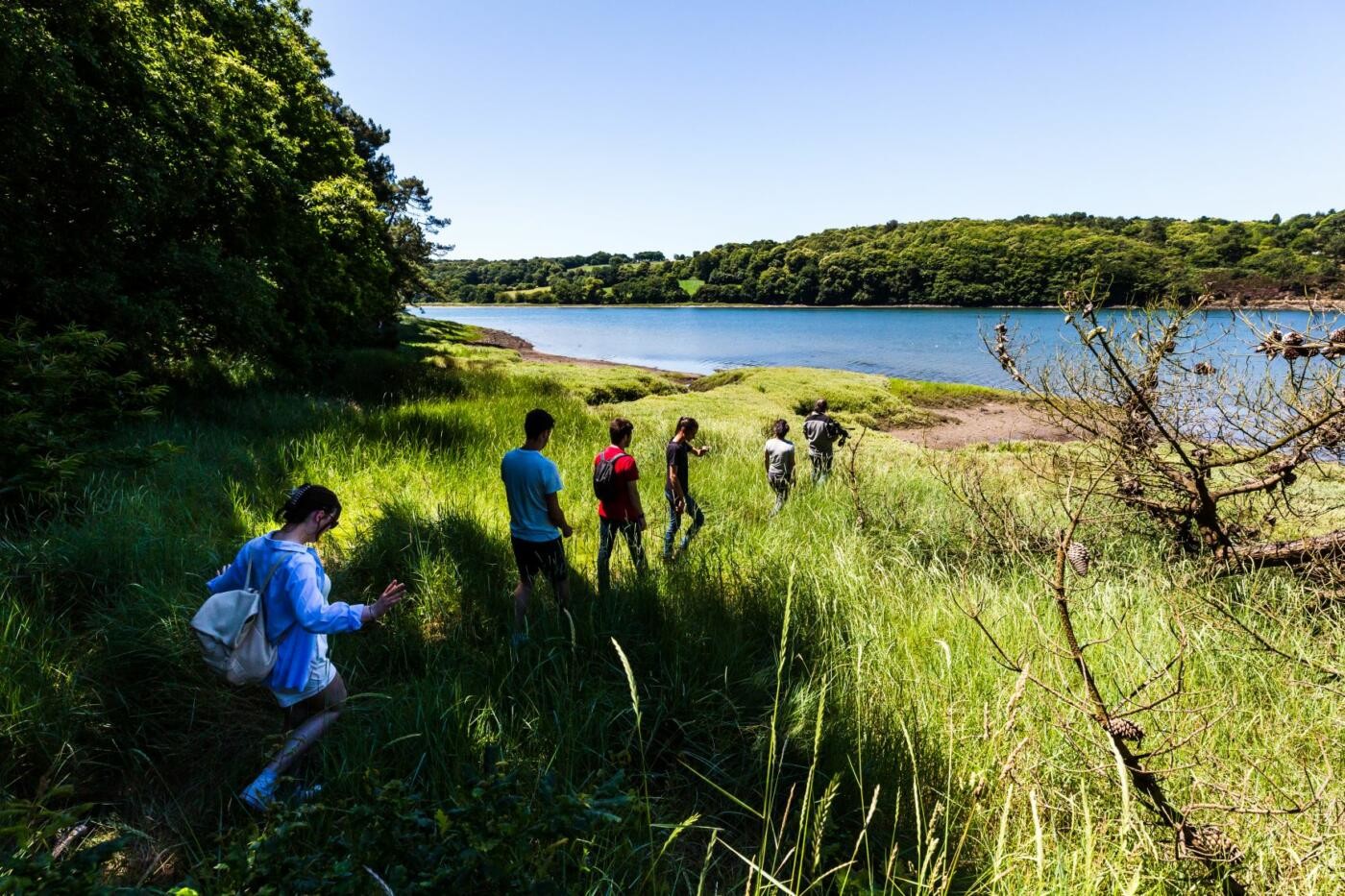Estuaire du Trieux