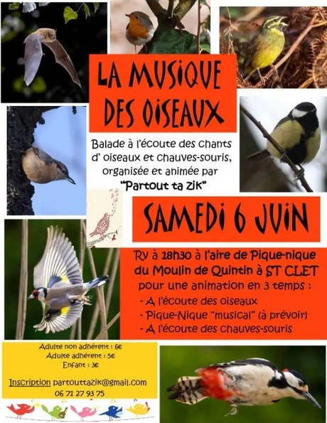 La musique des oiseaux