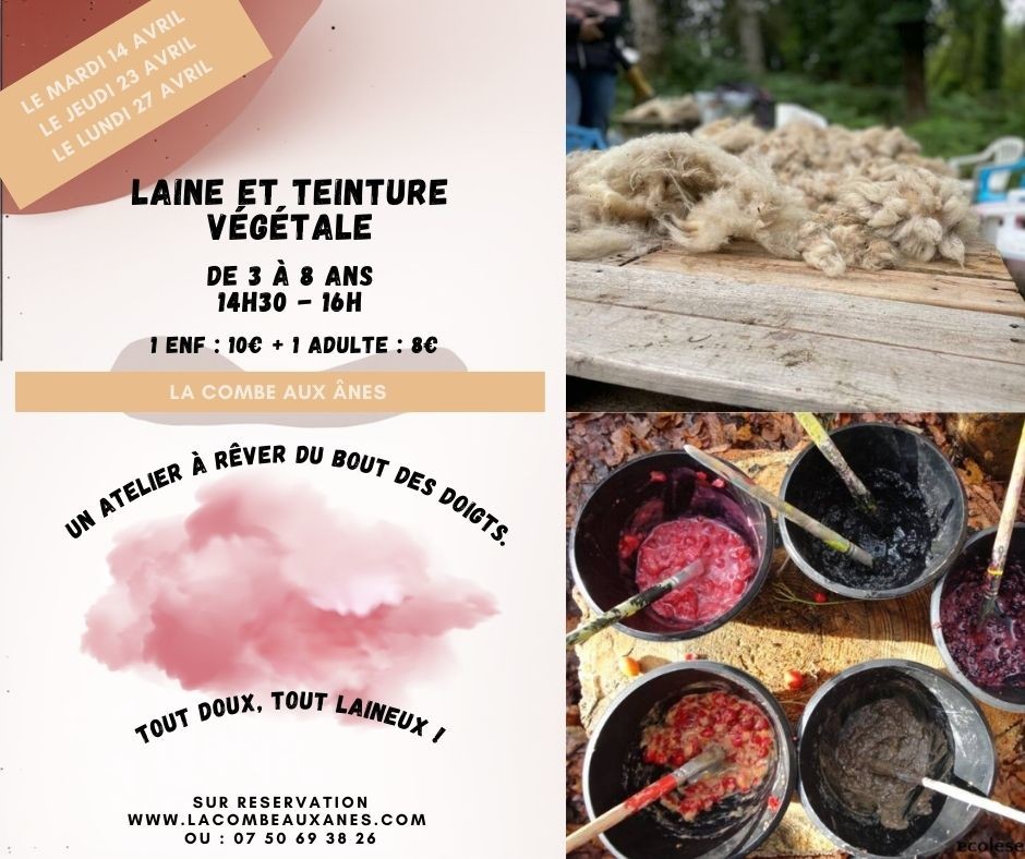 Laine et teinture végétale - Atelier parents/enfants de 3 à 8 ans