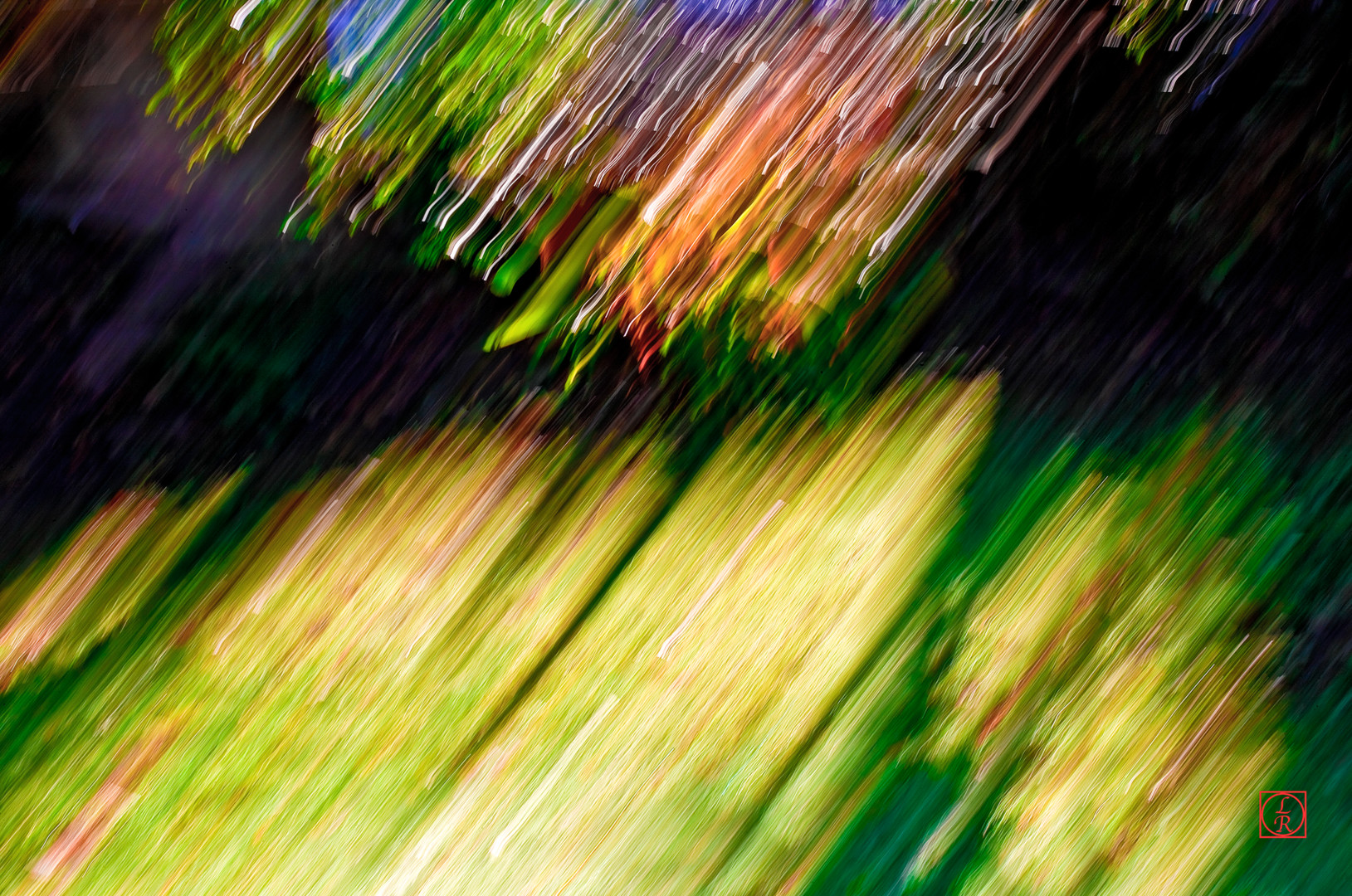 Lumière & Mouvement-015-M-2