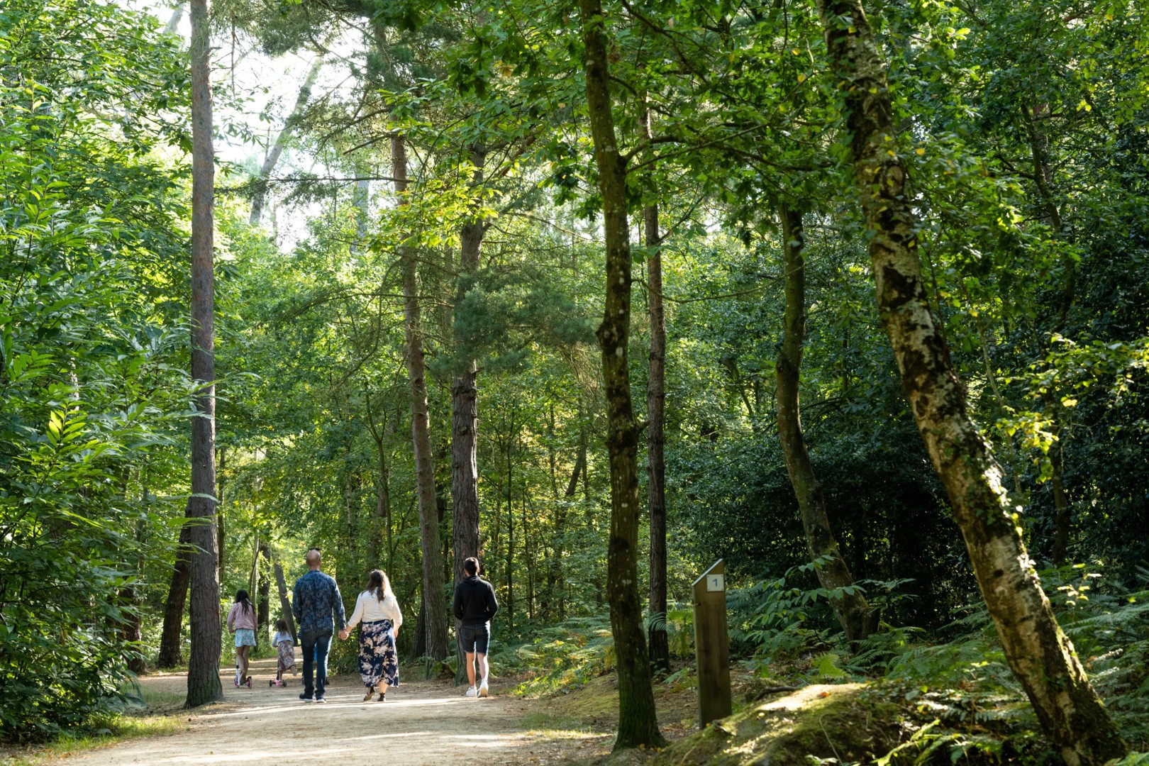 Bois de Plédran_Pledran_sentier