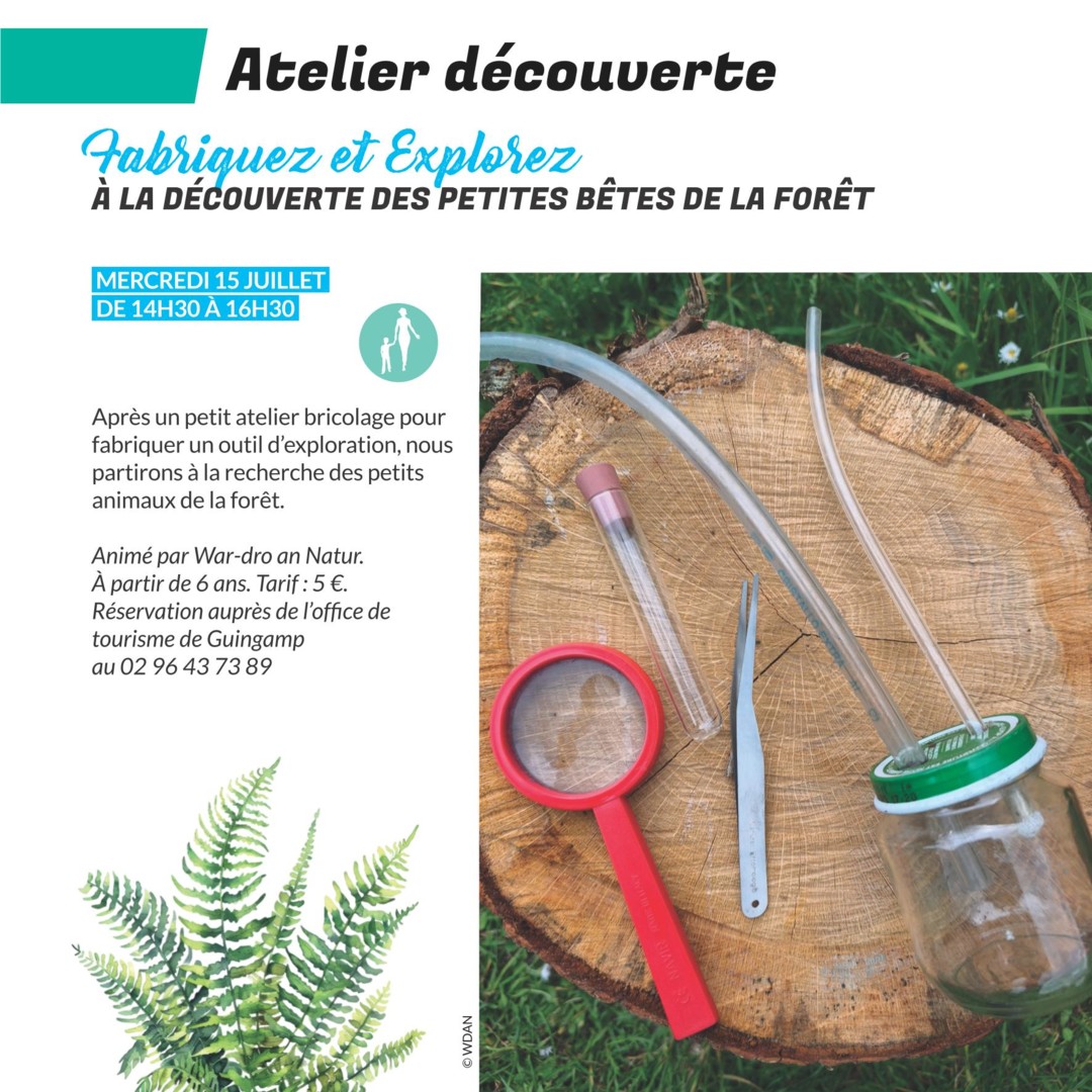 A la découverte des petites bêtes de la forêt
