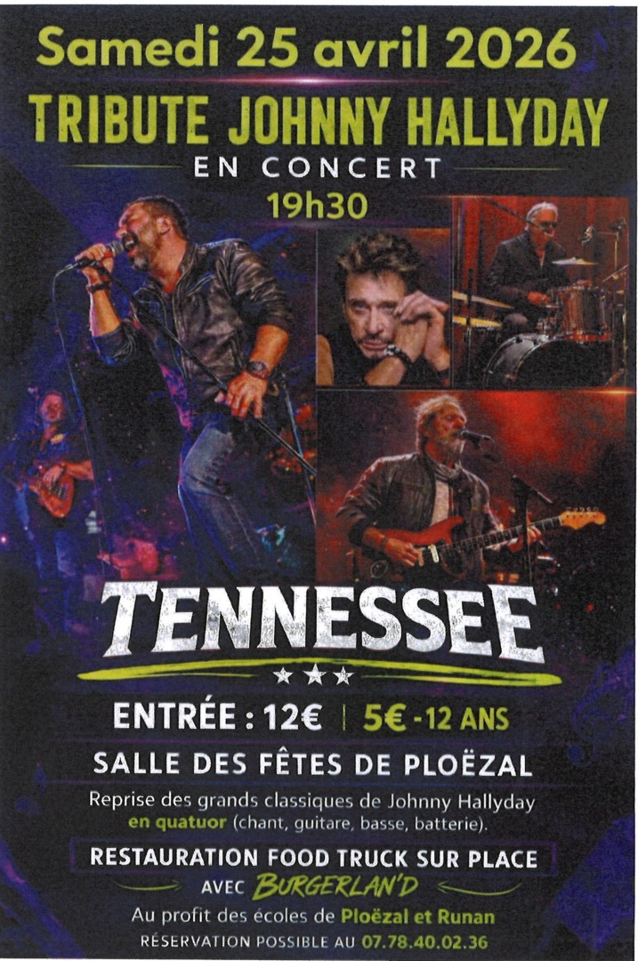 Tribute Johnny Halliday en concert