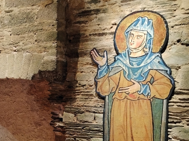 Vue de l'exposition Soigner au Moyen Âge selon Hildegarde de Bingen