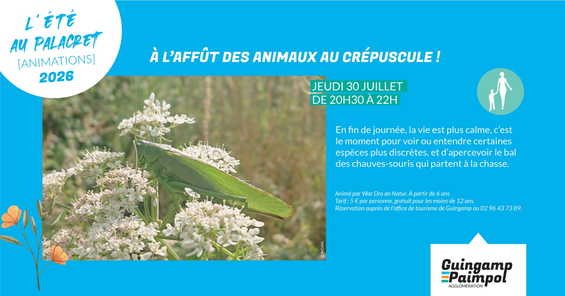 A l'affut des animaux au crépuscule !