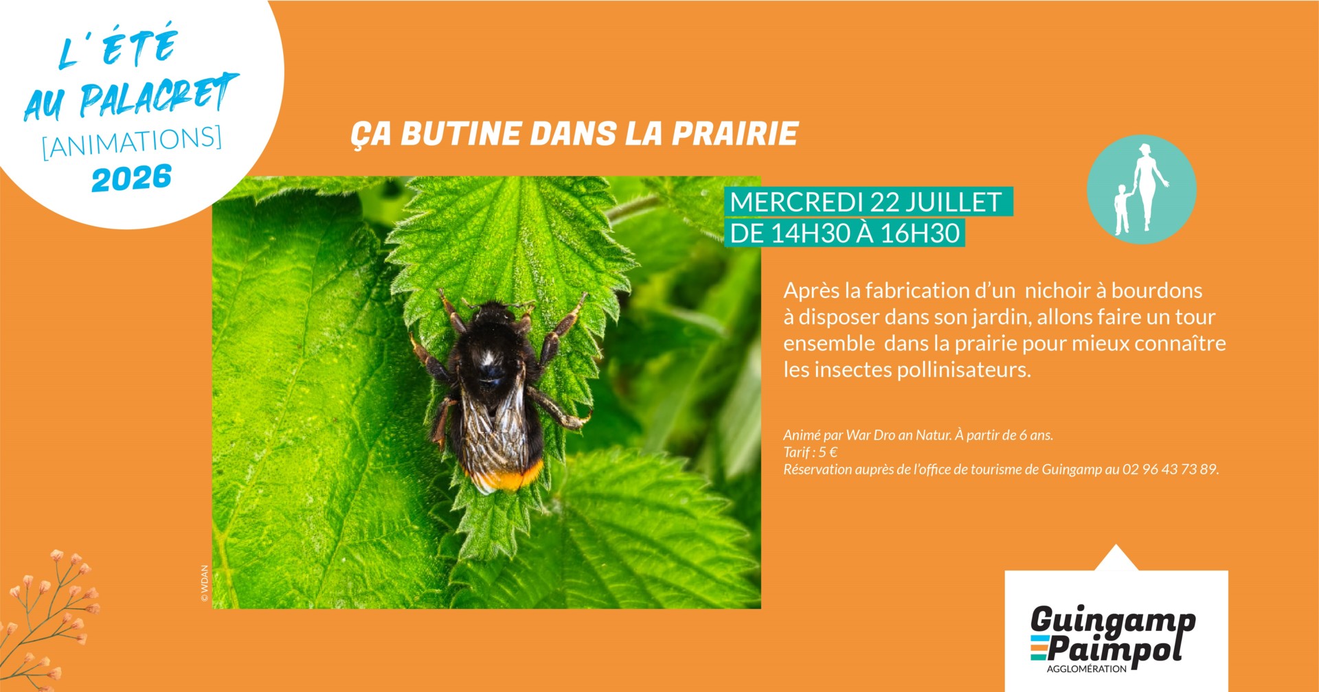 Ça butine dans la prairie