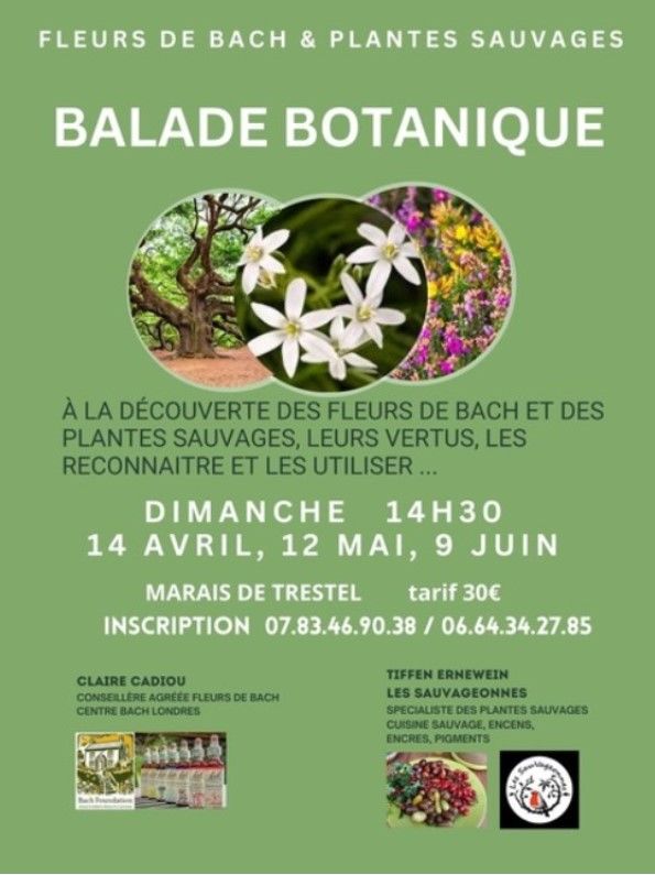 Balade Botanique | Trévou-Tréguignec | Côtes... Du 14 avr au 9 juin 2024