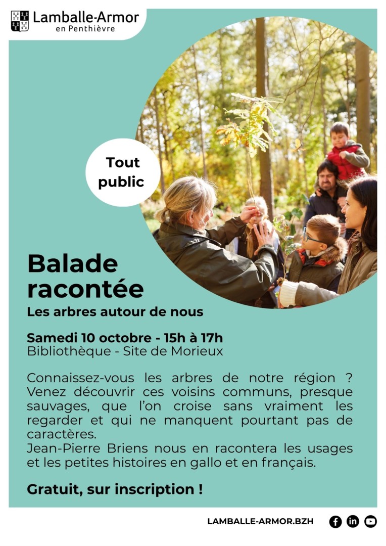 Gabarits bibliothèque - 27