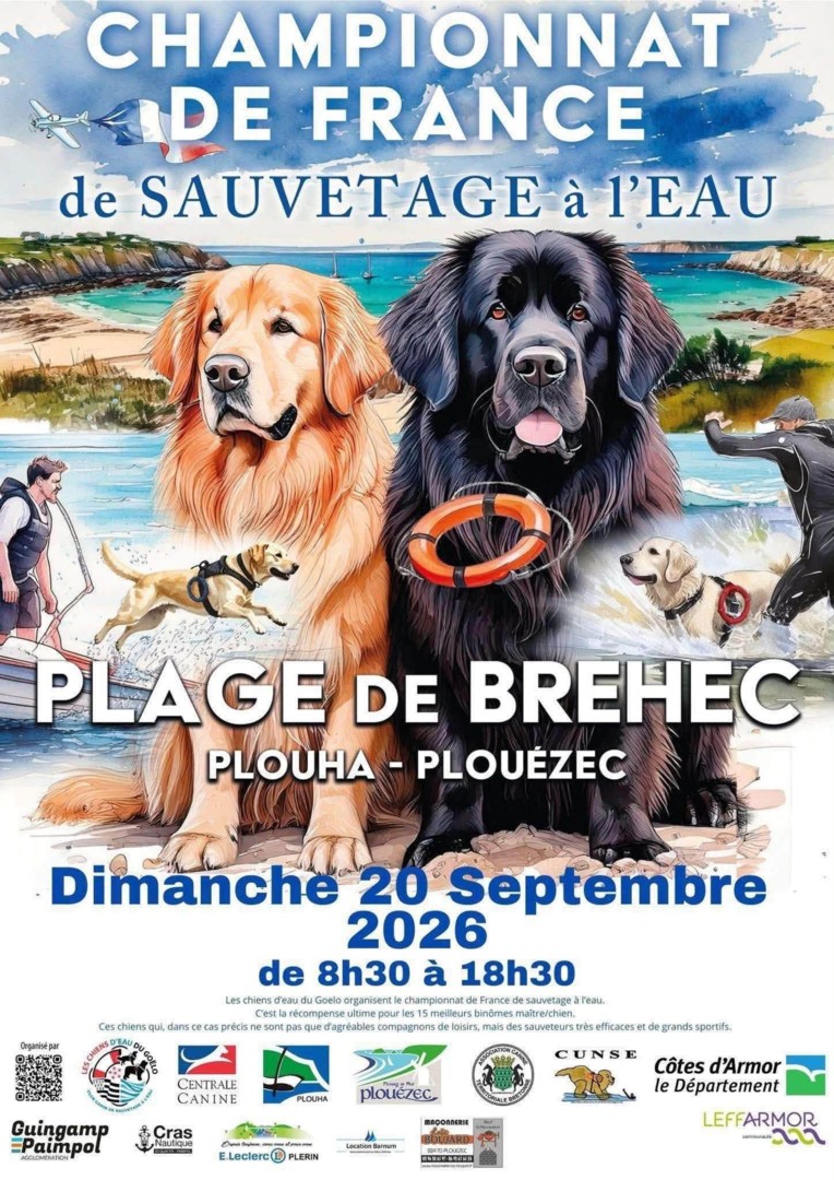 chien de sauvetage