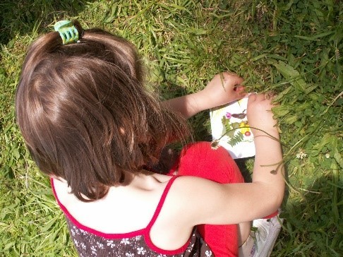 Chasse aux couleurs de la nature