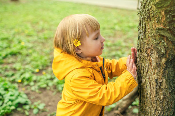 enfant forêt