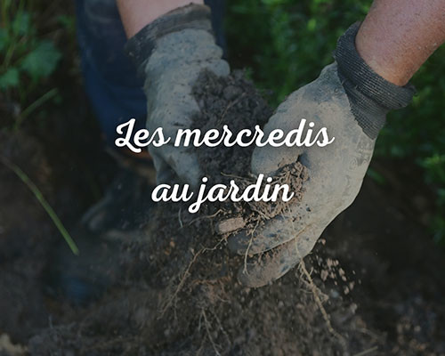 Les mercredis au Jardin