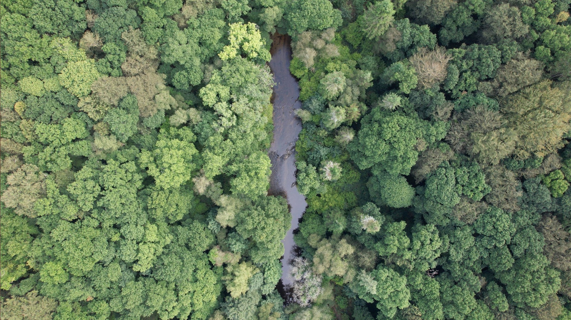 réserve vie sauvage